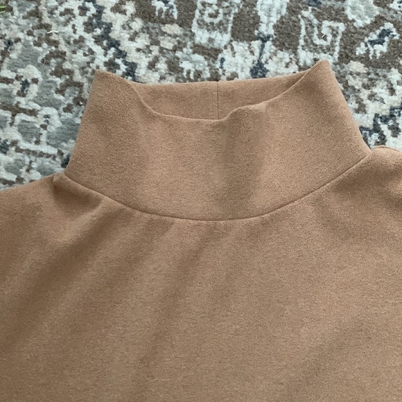Dudley Stephens Camel Greenpoint Turtleneck in Terry Fleece - Picture 4 of 4